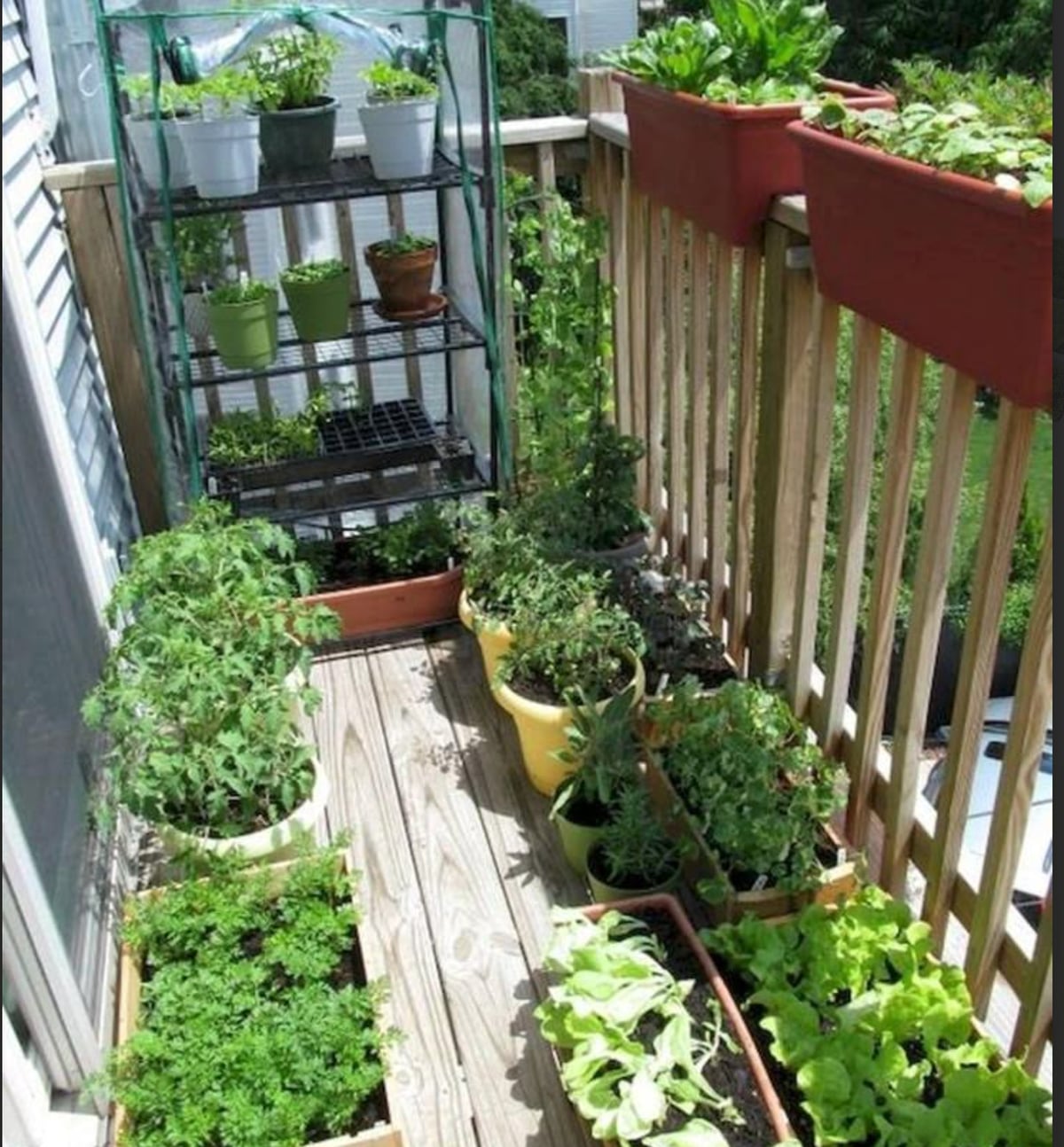 Kitchen Herb Garden